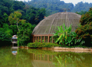 何為運動木地板